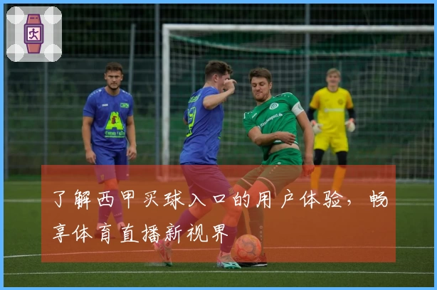 了解西甲买球入口的用户体验，畅享体育直播新视界