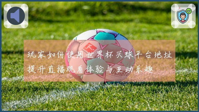 玩家如何使用世界杯买球平台地址提升直播观看体验与互动乐趣