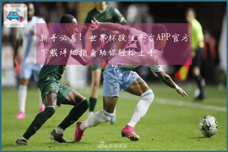 新手必看！世界杯投注平台APP官方下载详细指南助你轻松上手