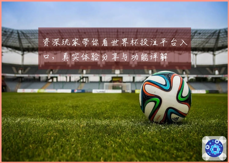 资深玩家带你看世界杯投注平台入口，真实体验分享与功能详解