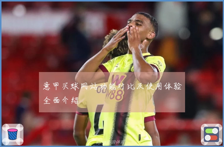 意甲买球网站功能对比及使用体验全面介绍