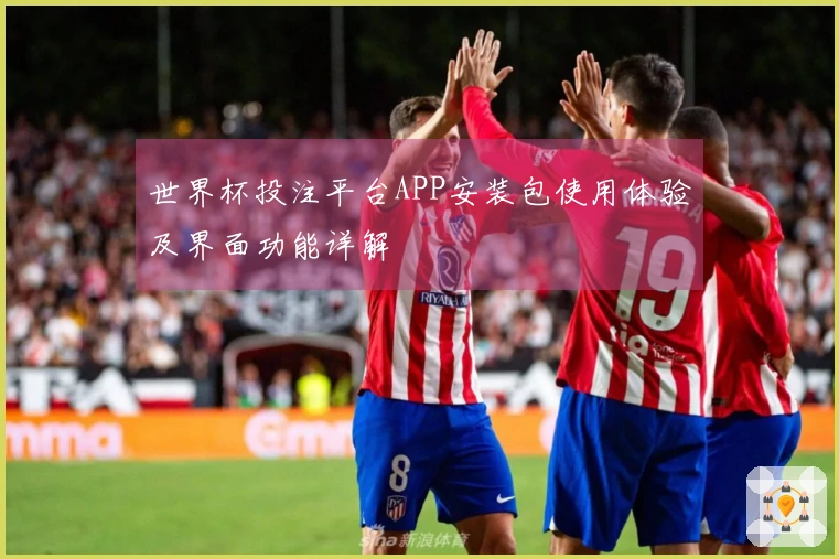 世界杯投注平台APP安装包使用体验及界面功能详解