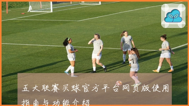 五大联赛买球官方平台网页版使用指南与功能介绍