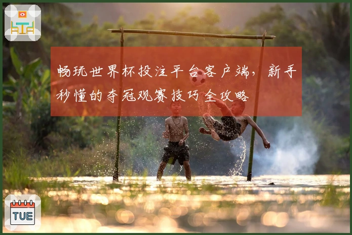 畅玩世界杯投注平台客户端，新手秒懂的夺冠观赛技巧全攻略