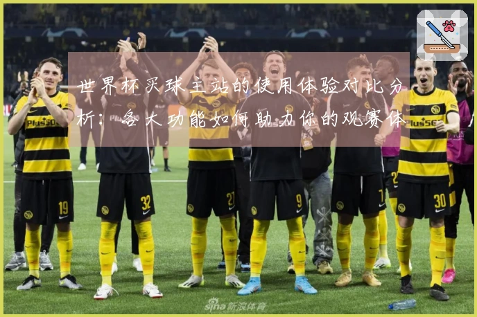 世界杯买球主站的使用体验对比分析：各大功能如何助力你的观赛体验