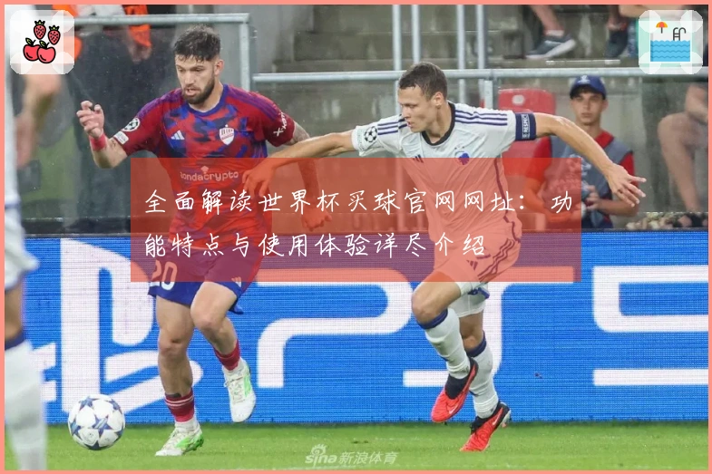 全面解读世界杯买球官网网址：功能特点与使用体验详尽介绍