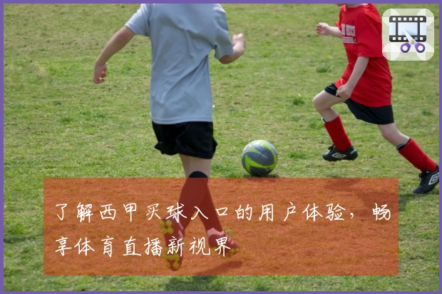 了解西甲买球入口的用户体验，畅享体育直播新视界