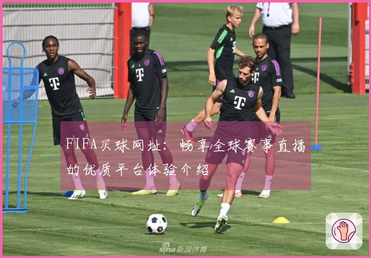 FIFA买球网址：畅享全球赛事直播的优质平台体验介绍