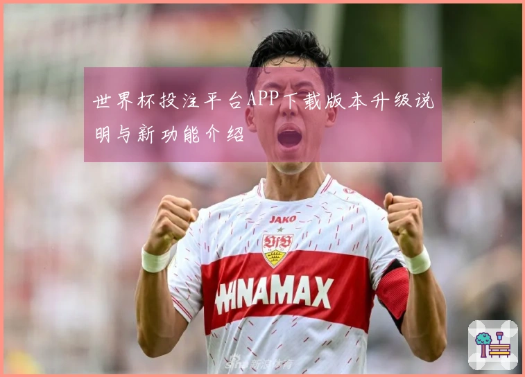 世界杯投注平台APP下载版本升级说明与新功能介绍